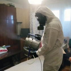 Дезинфекция от клопов в Звёздном городке