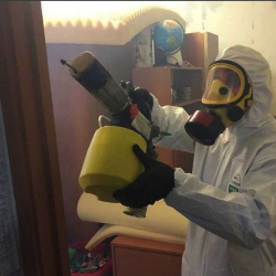 Уничтожение клопов в квартире. Звёздный городок